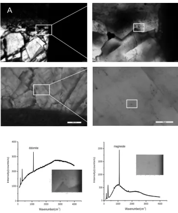 Fig.  1.  Fluid  inclusions  in  dolomite  (A)  and  magnesite  (B)  veins.  Raman  spectra  show  the  characteristic  peaks  of  dolomite and magnesite