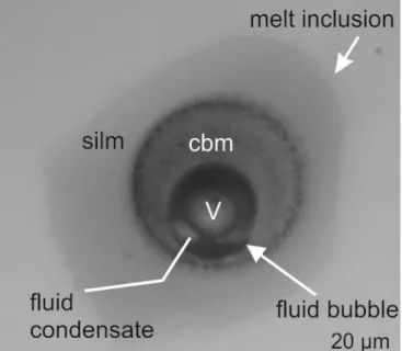 Fig.  1.  Photomicrograph  of  run  product  in  nepheline-hosted  melt  inclusion  quenched  from  850  °C,  containing  quenched  silicate melt (silm), carbonate melt (cbm), and a fluid bubble