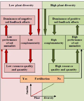 Figure  1.  The  influence  of  aboveground  –  belowground  interactions on the positive relationship between biodiversity  and ecosystem functioning