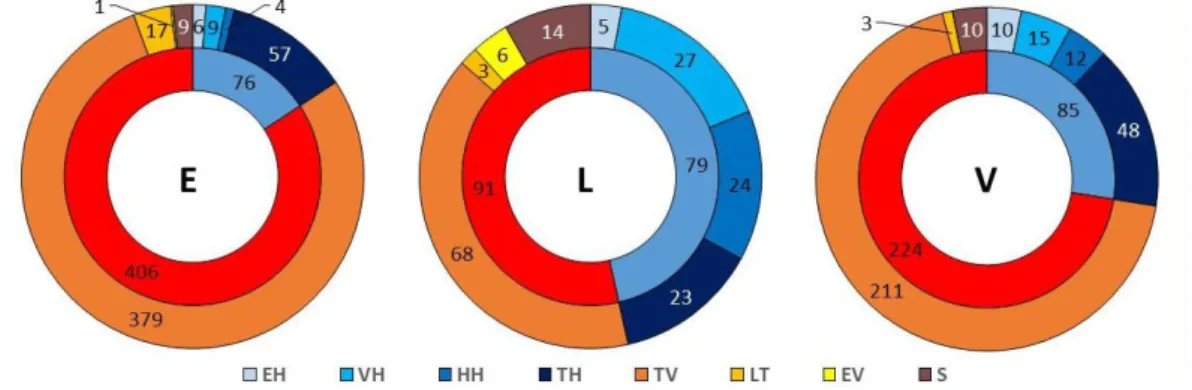 2. ábra: Vadászati stratégiák egyedszám szerinti megoszlása az egyes mintaterületeken (kék színekkel a  hálóval vadászók, egyéb színekkel a nem hálóval vadászók; VH – vitorlahálós, HH – hurokhálós, TH –  töl-csérhálós, EH – egyéb hálóval vadászó, TV – tala