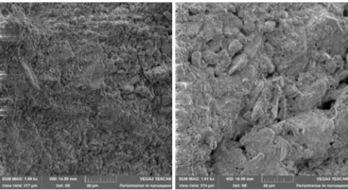Fig. 4. Cellar wall brick and first floor brick sample analysis with SEM (1000x magnification)  (Source: Author)  