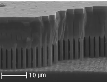Figure 3.  Cross-section SEM image of the whole structure of Sample A. It is possible to distinguish the  separated Si pillars at the bottom, the merged Ge layer and the GaAs layer on the top.