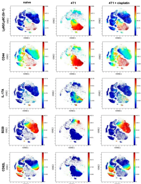 Figure 5. The viSNE plots illustrate the expression intensity of Gr-1, CD44, IL-17A, B220, CD62L markers within the clouds of main subsets defined in Figure 4 in the splenic samples of naive, 4T1 tumor bearing, and cisplatin treated 4T1 tumorous mice