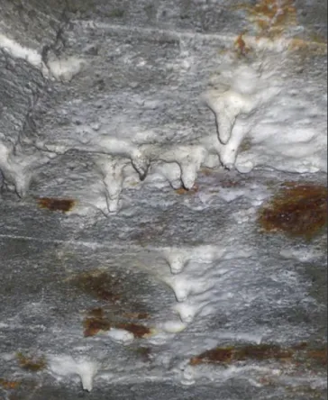 5. ábra: Savas esôvíz hatására a vasbetonlemezbôl kioldódott,  cseppkôszerû karbonátok (Fénykép: Kausay)