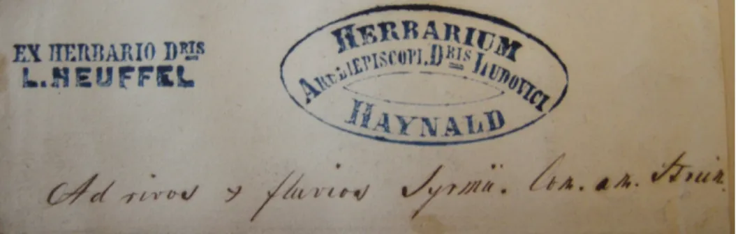 7. ábra. Haynald Lajos pecsétje Fig. 7. The stamp of Lajos Haynald