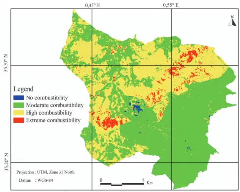 Figure 3. Map of combustibility index of Zelamta forest 