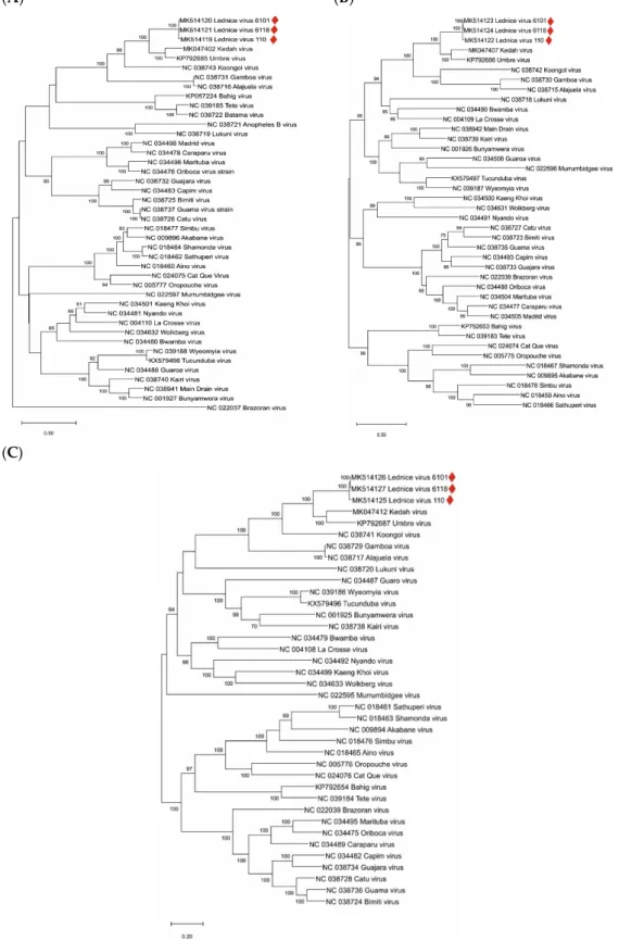 Figure 2. Phylogenetic analysis of orthobunyavirus complete genome sequences. (A): S segment; (B): 