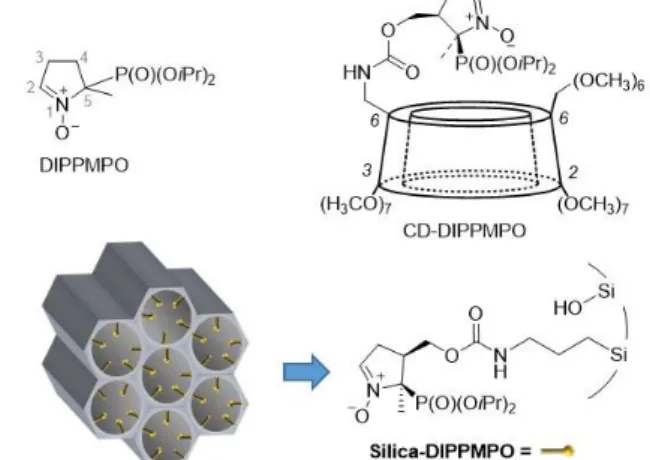 Figure  1.  Chemical  structures  of  the  DIPPMPO  nitrone,  and  a  schematic  representation  of  the  cyclodextrin-conjugated  (CD-DIPPMPO)  and  silica-bound  DIPPMPO (Silica-DIPPMPO)