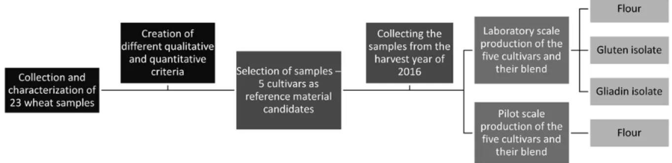 Figure 1. Flowchart for the experimental work on the development of lab and pilot  scale gluten reference material candidates 