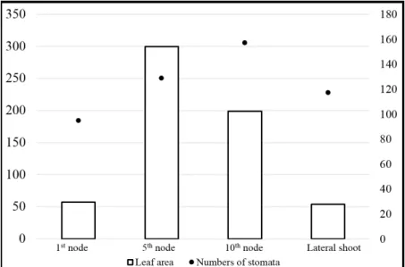 Figure 2: Leaf area and number of stomata of ‘Kékfrankos’ grapevine cultivar on the 1 st , 5 th , 10 th  nodes and on  the lateral shoots