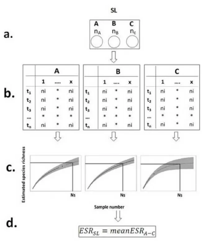 Fig. 4 Calculation of the species  richness  for the several  small  (SS) lakes (SL:  10 3 -10 7  m 2 ) 694 