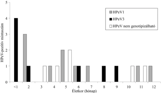 1. ábra A három vizsgálati csoportból (A, B és C) azonosított HPeV-genotípusok korcsoportonkénti eloszlása