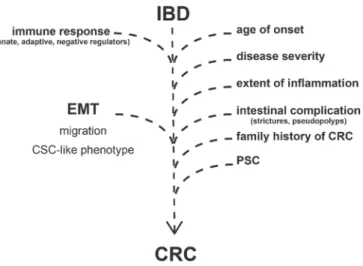 Figure 1. Risk factors and molecular processes contributing to the development of colorectal cancer  in Inflammatory Bowel Disease (IBD) patients