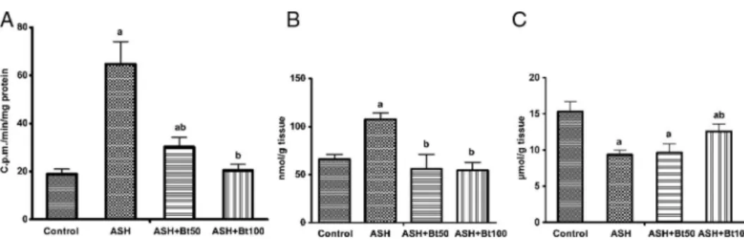 Fig. 3. Effect of betulin on ROS generation in liver mitochondria, TBARS and GSH content in liver tissue of rats with ASH