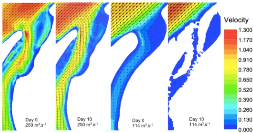 Fig. 7. Comparison of flow velocity at day 0 and day 10 for bank-full discharge   of 250 m 3 .s -1  and for an average flow of 114 m 3 .s -1