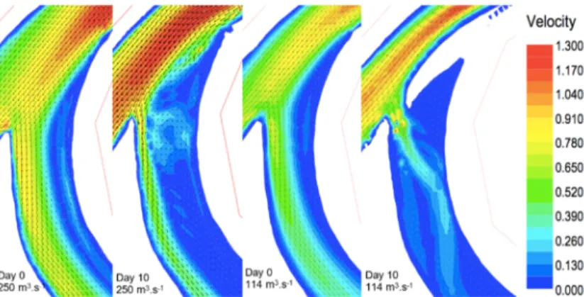 Fig. 10. Comparison of flow velocity at day 0 and day 10 for bank-full discharge of 250 m 3 .s -1    and for an average flow of 114 m 3 .s -1 