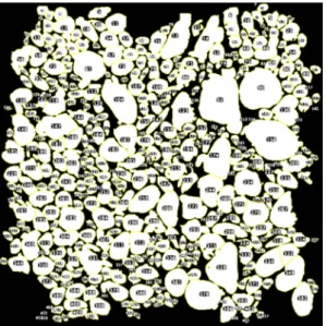 Fig. 2. Segmented and detected particles (Source: Author) 