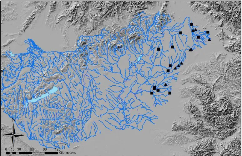 Fig.  1.   The  study  area  in  the  Carpathian Basin,  the  Hungarian watercourses are  marked with  blue  lines