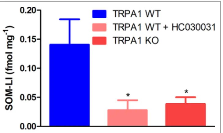 FIGURE 3 | Sodium polysulfide (10 μmol L −1 ) releases somatostatin  from sensory nerve endings of isolated skin flaps of TRPA1 WT mice