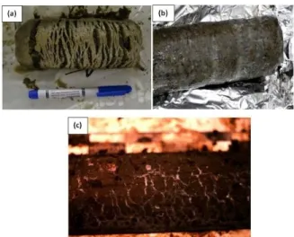 Figure 3. Earth based examples of permafrost core sam- sam-ples. (a) and (b) Permafrost core samples in Siberia [6,7,8]