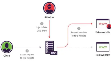 Fig. 8. DNS spoofing attack (Imperva)  