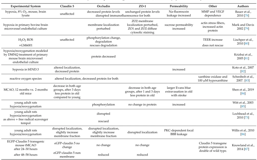 Table 2. BBB function and junctional proteins in age related disorders, ischemic injury and immune system.