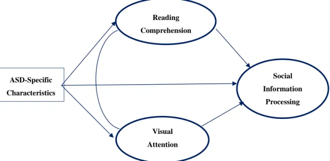 Fig. 1. A theoretical model which may explain the social information processing   in children with ASD 