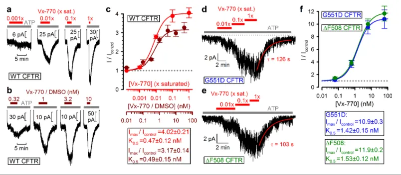 Figure 3. Vx-770 stimulates CFTR currents already at subnanomolar concentrations. (a-b) Macroscopic WT CFTR currents elicited by 2 mM ATP are reversibly stimulated by exposure (red and brown bars) to indicated concentrations of Vx-770, diluted either from 