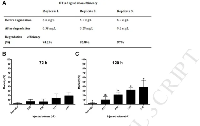 Fig 4 Ochratoxin A (OTA) degradation efficiency of Cupravidus basiliensis  Ő R16 strain 683 