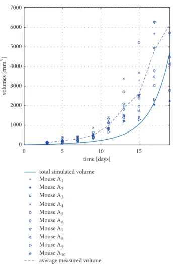 Figure 8: Measured and simulated tumor volumes in the case of no therapy.