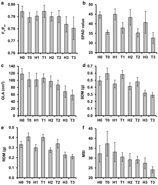 Fig. 2    a Photochemical effi- effi-ciency (F v /F m ) and b  chloro-phyll content (in SPAD value)  of the youngest fully expanded  leaves, c green leaf area (GLA),  d shoot dry mass (SDM), e root  dry mass (RDM), and f root  membrane stability index (MSI