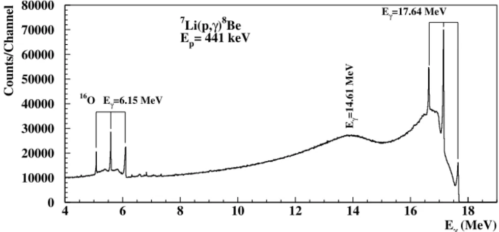 Fig. 1. A typical γ-ray spectrum measured at the E p = 441 keV resonance.