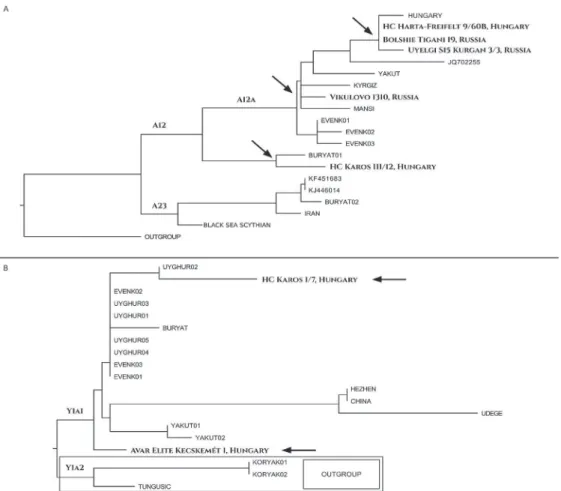 Fig. 2a. Neighbour Joining phylogenetic tree of mitochondrial haplogroup A12