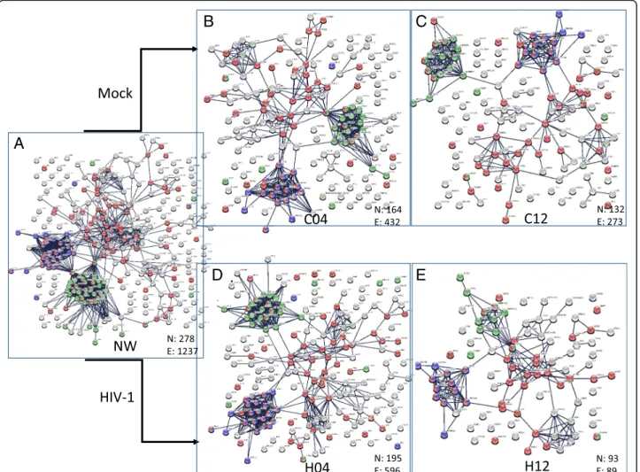 Fig. 2 Protein-protein interaction network of the proteins quantified in each condition