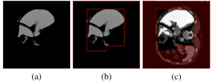 Fig. 4. The process of labeling for GrowCut method: (a) Largest connected component of preprocessed image; (b) The separating frame shown as red;