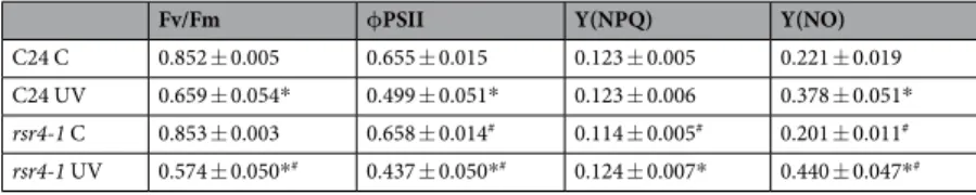 Table 1.  Effects of supplemental UV radiation on maximum (Fv/Fm) and 55  μ mol m −2  s −1  PAR acclimated  effective ( φ PSII) quantum yields, the regulated (Y(NPQ)) and non-regulated (Y(NO)) non-photochemical  quenching of PSII (Materials and Methods)