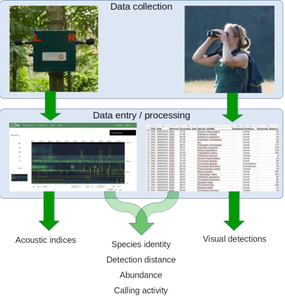Figure 2: Overview of the data collection and processing workflow for point counts and 770 