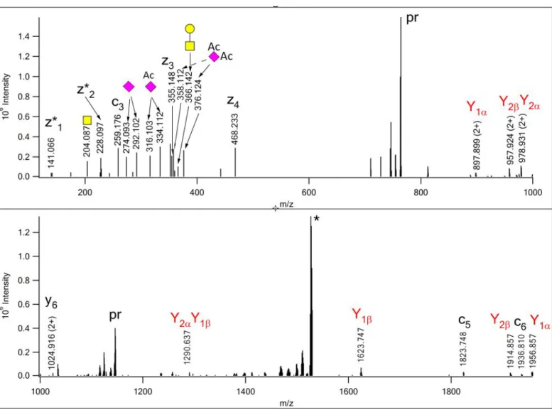 Figure 3. EThcD spectrum of m/z 763.992(3+) manually assigned as  342 AVAVTLQSH 350 , modified at Thr- Thr-346 with a core 1 glycan that features a Neu5,9Ac 2  on the Gal residue, and a NeuAc-Neu4,5,9Ac 3   disialo-unit on the core GalNAc