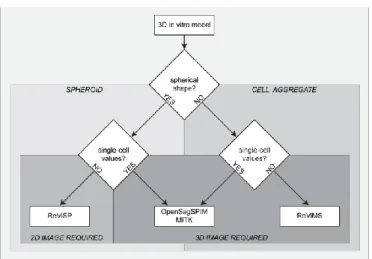 Figure  4.  Flow-chart  helping  to  define  an  appropriate  open-source  tool  according  to  the  characteristics of the used 3D in vitro model