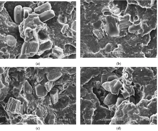 Figure 8. Scanning electron microscopic images  of  fracture surfaces  with  2000×  magnification:  (a)  PLA+APP; (b) PLA+MCAPP1; (c) PLA+MCAPP2; (d) PLA+MCAPP3
