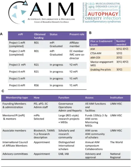 Figure 1. Summary of AIM progress, pilot and enablement programs, and membership. ( A ) Table of mentored PI ’ s status: graduations, new appointments, and NIH grants received