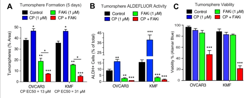 Figure supplement 1. Small molecule FAK inhibition prevents KMF 3D tumorsphere proliferation with effects on cell cycle but not cell apoptosis.