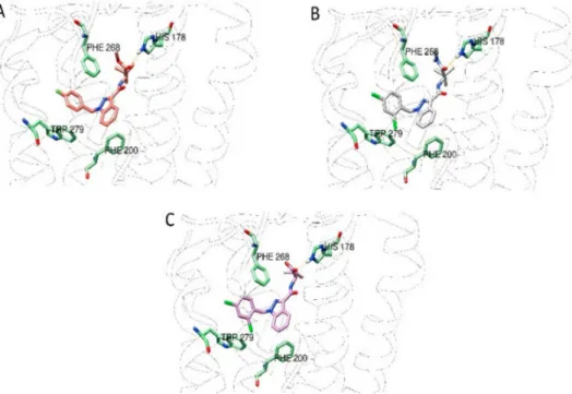 Figure 8. Best ranked pose of MDMB-Fubinaca (A), LONI11 (B) and LONI4 (C) docked to the CB1 receptor.
