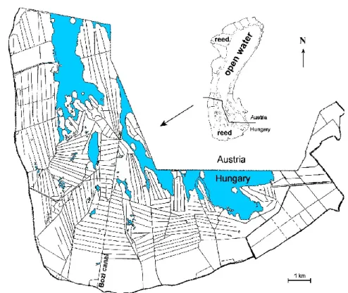 Figure 1. Overviwe of the Hungarian part of the Laske Fertő. 