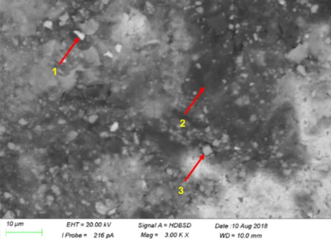 Fig. 7 Analyzed points of the corroded part of the plasma nitride sample