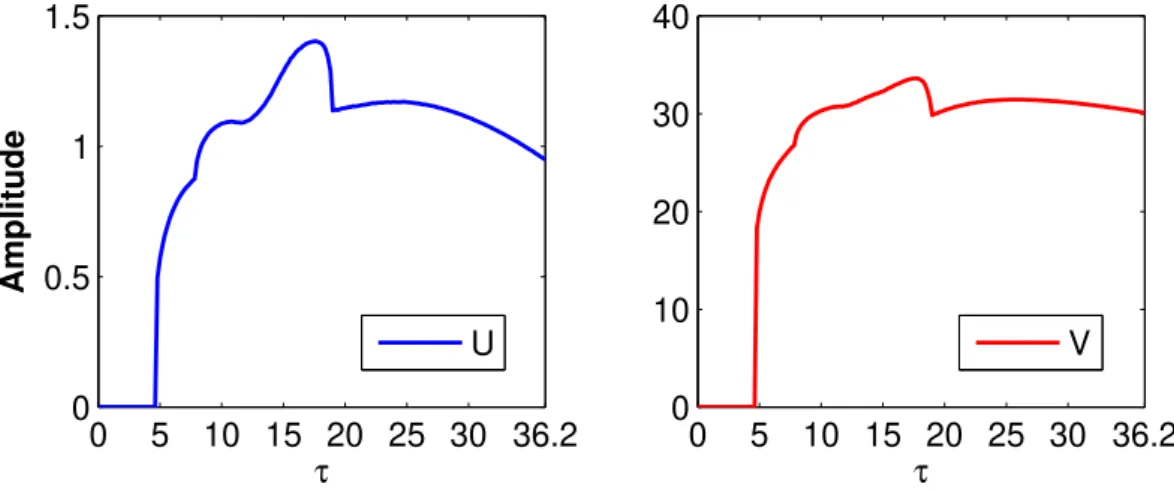 Figure 4.3: The amplitude of U and V when τ ∈ [ 0, 36.2195 ) .