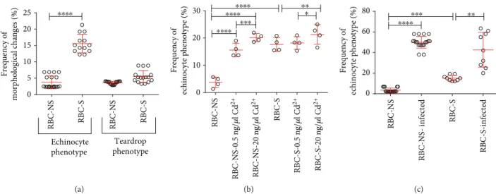 Figure 1: Distribution of phenotypic variations in RBC-NS and RBC-S populations. Frequencies of echinocyte and teardrop phenotypes in RBC-NS ( n = 7956 cells from 19 individual samples) and RBC-S ( n = 15745 cells from 45 individual samples) populations (a