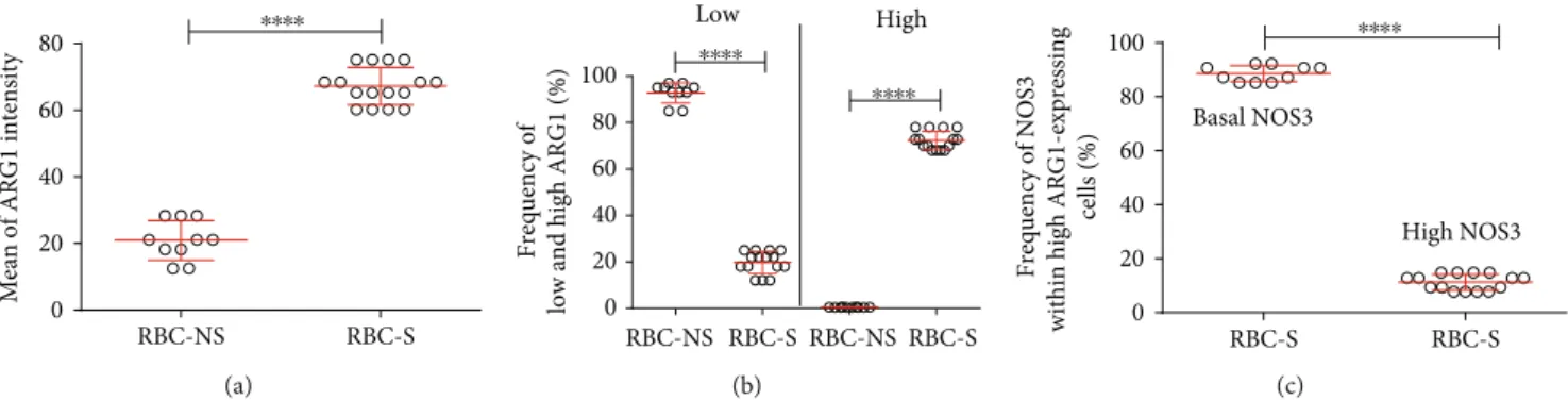 Figure 4: Quanti ﬁ cation of the immunolabelled ARG1 cells by FACS analysis from RBC-NS- and RBC-S-derived samples