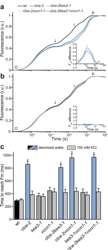 Figure 2.  Fast chlorophyll a fluorescence OJIP transients. Wild-type plants (wt) and mutants were grown for 5  weeks and watered with deionized water