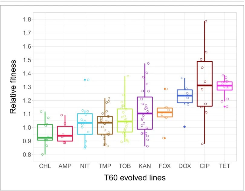Figure 2. Relative fitness of the T60 evolved lines. The figure shows the relative fitness of 6 parallel lines of 23 antibiotic-adapted strains (T0) after laboratory evolution in an antibiotic-free medium